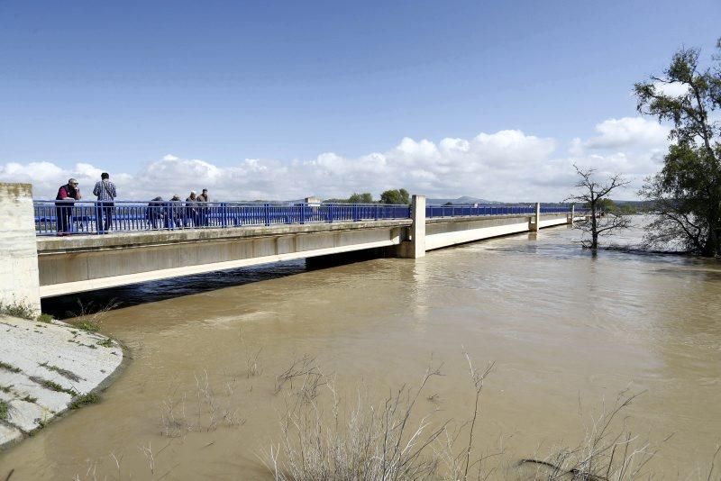 Consecuencias de la crecida del Ebro