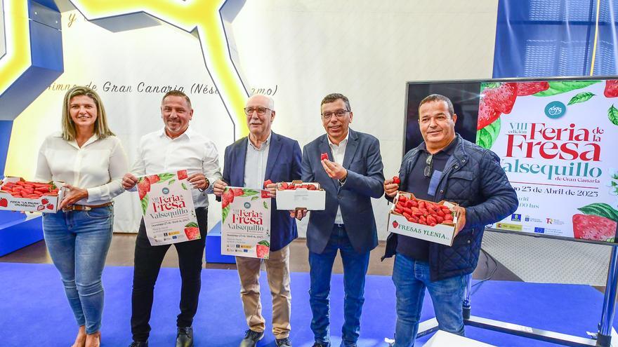 La Feria de la Fresa  vuelve este domingo con 1.000 kilos gratis para saborear el producto fresco