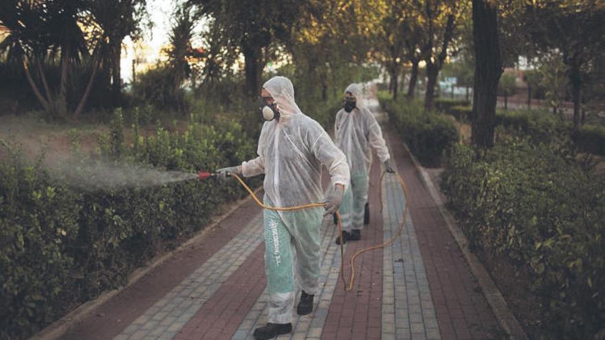 Aumentan las fumigaciones en Sevilla para eliminar el mosquito que transmite el virus del Nilo.