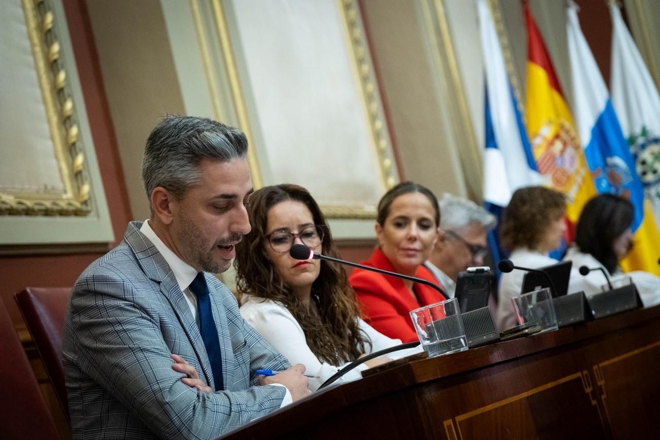 Pleno del Ayuntamiento de Santa Cruz de Tenerife del 29 de noviembre de 2024