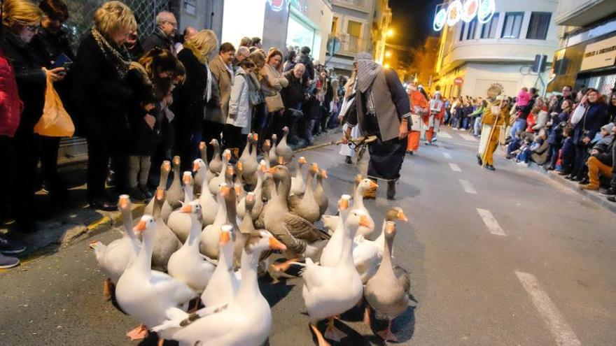 El Consejo de Fiestas se niega a examinar a los animales de los desfiles