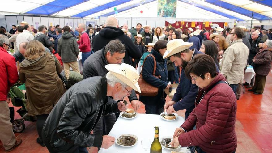 Fin de semana da Festa da Lamprea máis internacional en Arbo