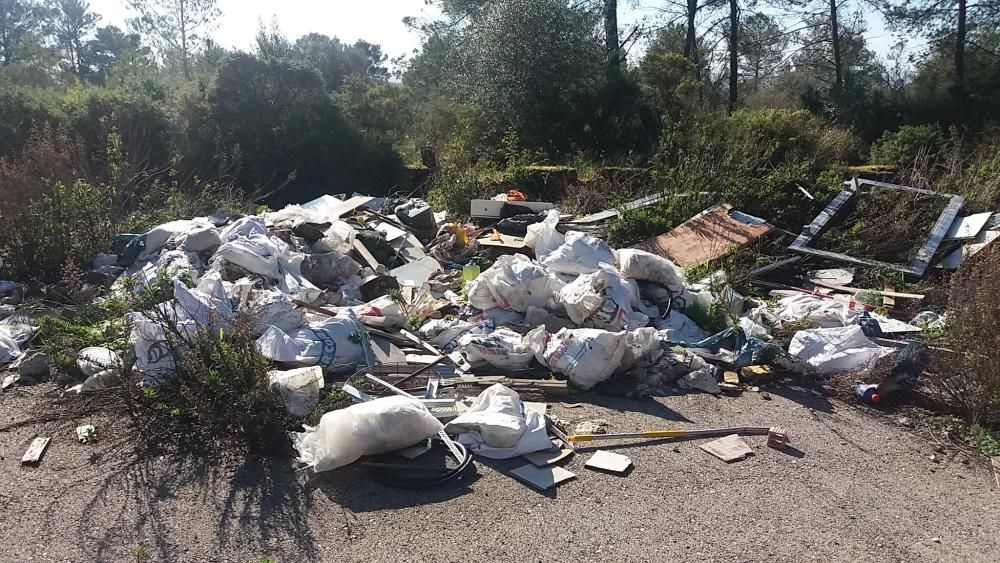 Die Umweltverschmutzer haben 10 Tonnen Unrat in den Wald geworfen.