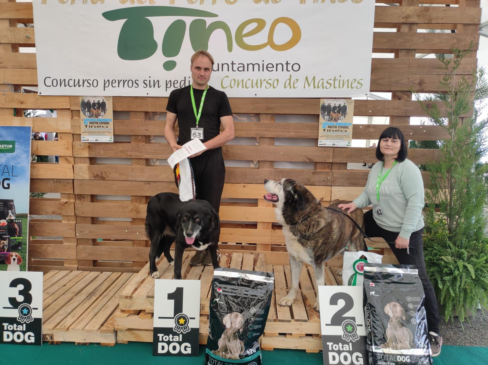 Éxito de público y animales en la 28ª Feria del Perro de Tineo