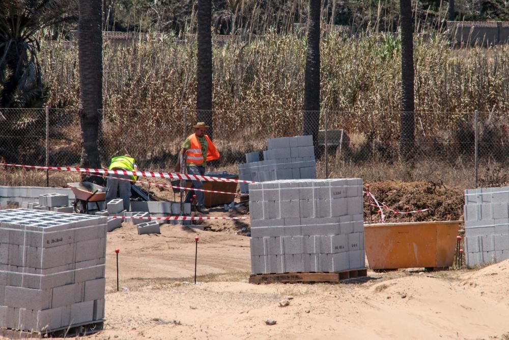 Un muro cierra el palmeral de Ferrís en Torrevieja