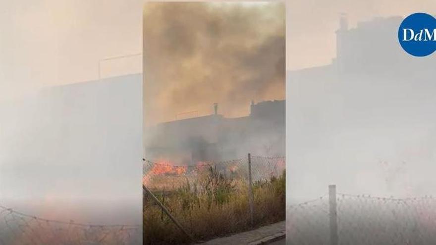 INCENDIO BINISSALEM | Alarma por un incendio provocado por un correfoc en Binissalem