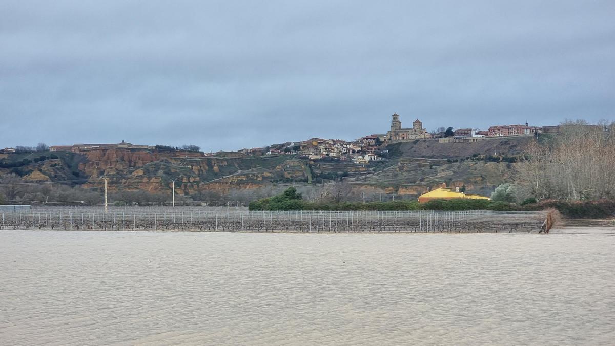 La crecida del río Duero durante el lunes 9 de febrero a su paso por Toro.