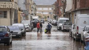 Salut Pública emet consells per prevenir malalties a la zona zero