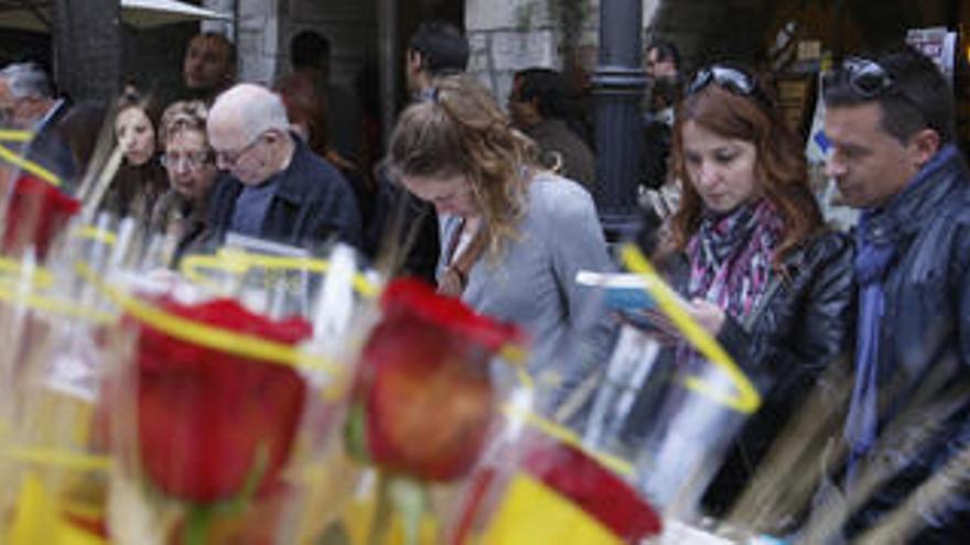 Sant Jordi amb sol i ambient suau