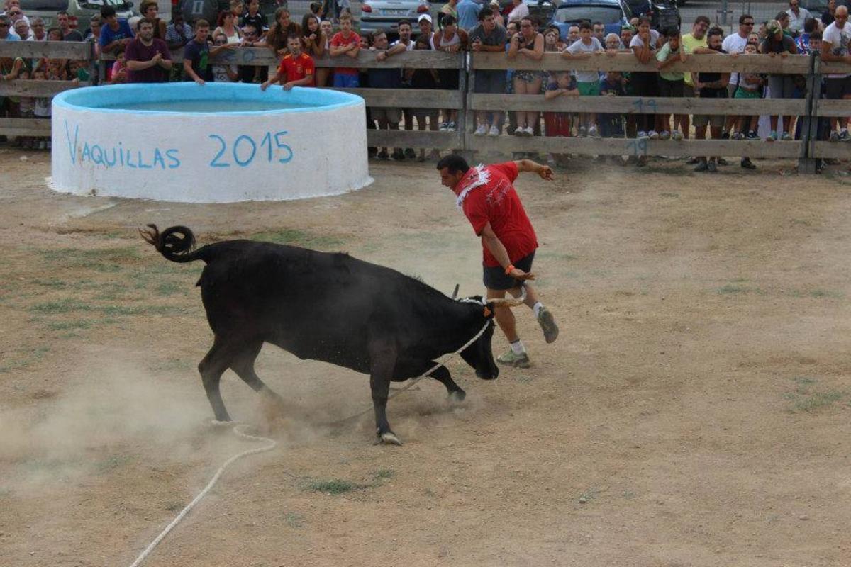 Un joven corre ante una vaquilla.