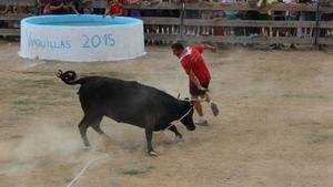 Un joven corre ante una vaquilla.