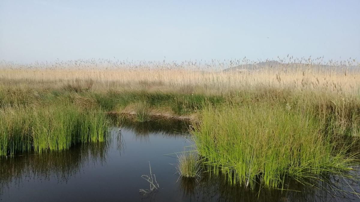 La Marjal dels Moros