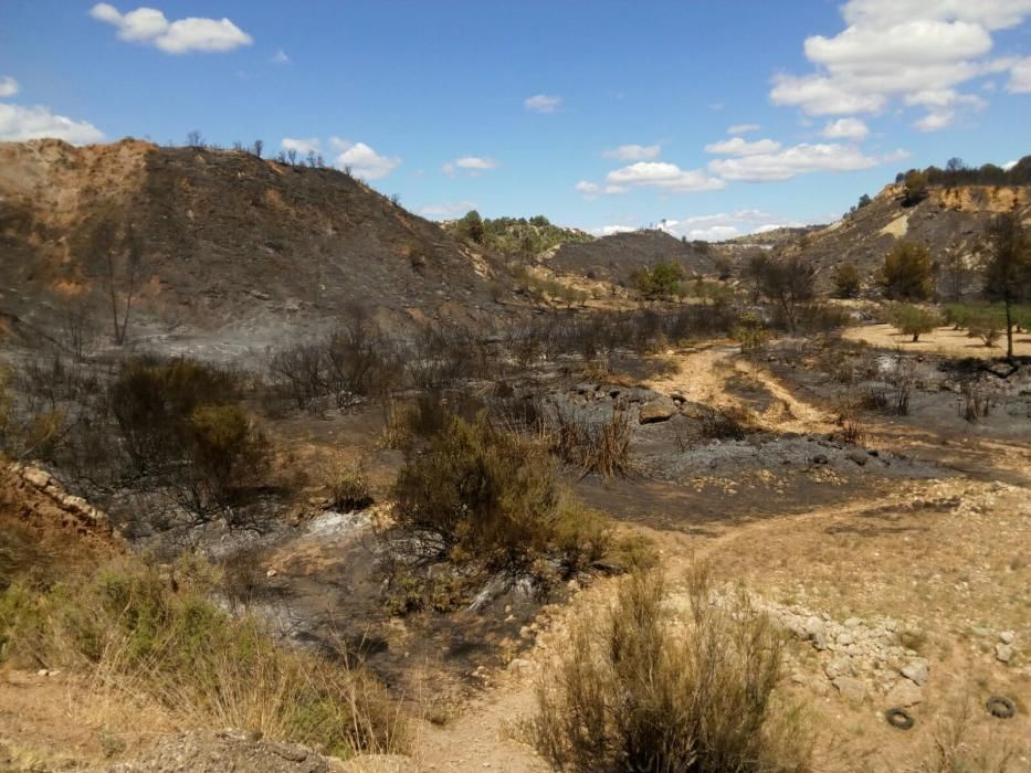 El fuego, en el término de Chella.