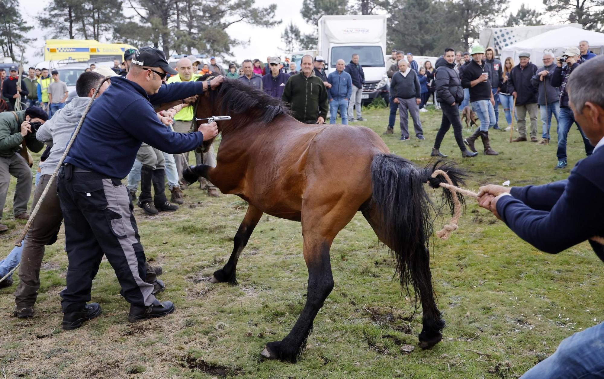 Valga inaugura la temporada de curros
