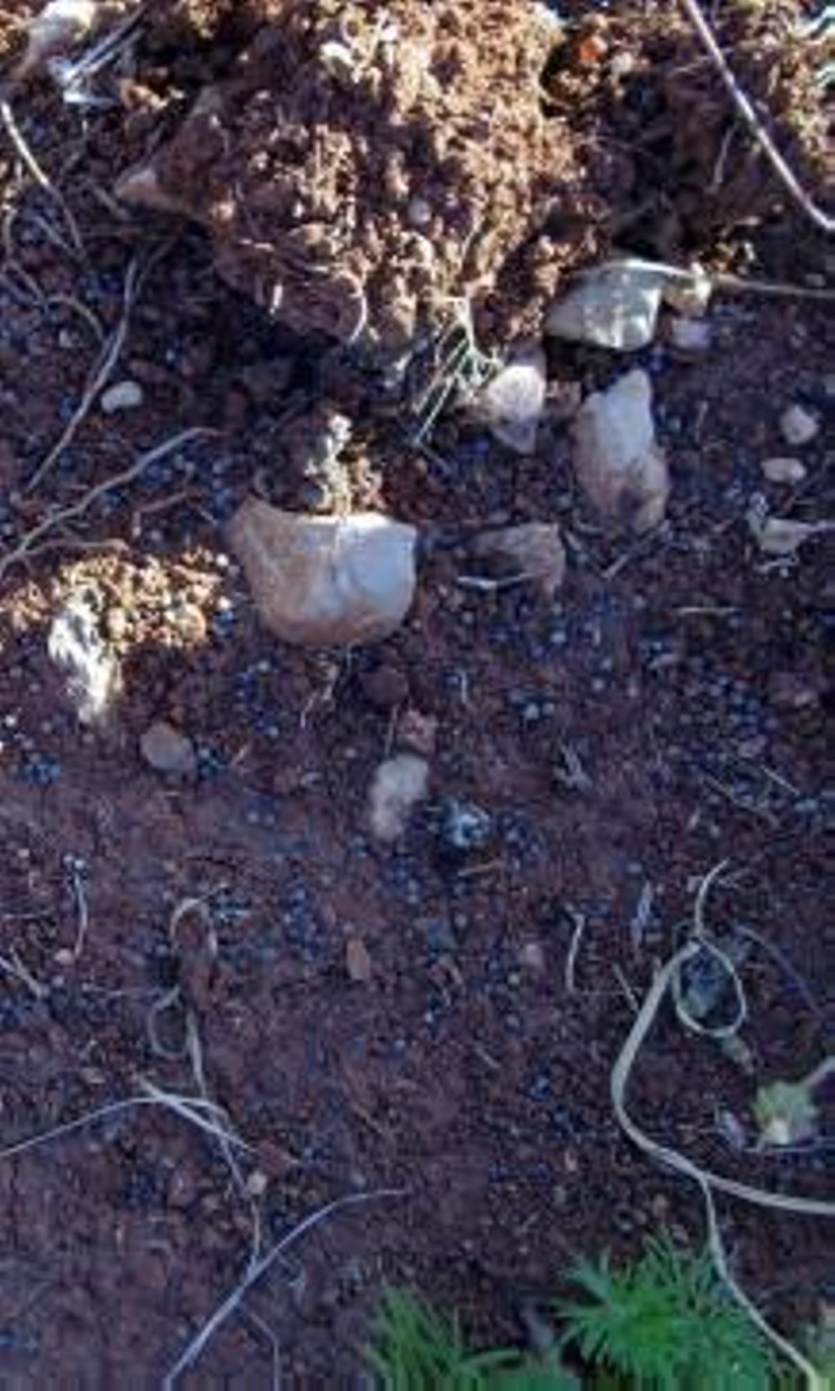 Lluvia de plomo en el Montgó