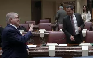 PSOE y Vox han votado de la mano casi cuarenta veces esta legislatura en la Región