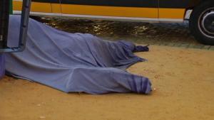 Un caballo falleció en el día de ayer en el Real de la Feria de Sevilla