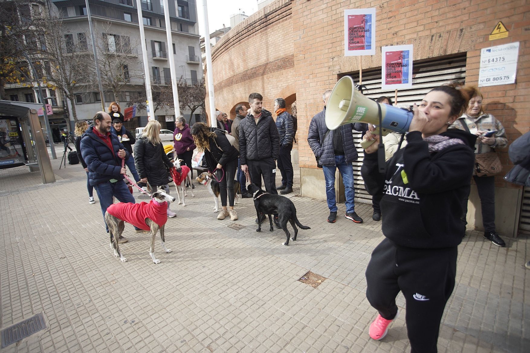 Concentracions del PACMA a Girona per reclamar incloure els gossos de caça a la llei de protecció animal