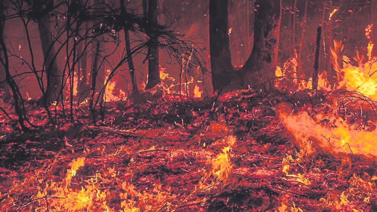 Imagen de archivo de un incendio forestal.