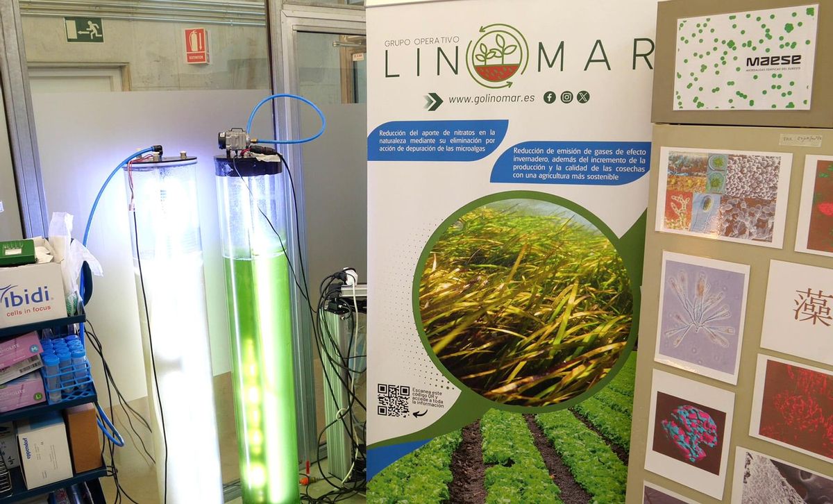 La iniciativa busca la reducción de los nitratos en agricultura.