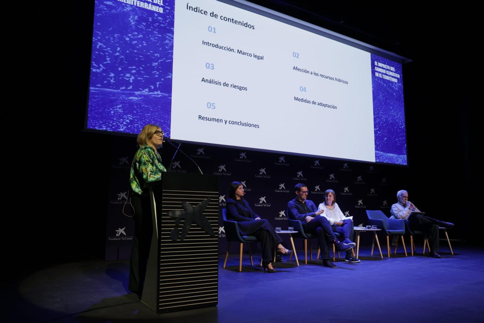 Mesa redonda “Cambio climático modelo económico y gobernanza  en el arco mediterráneo”.