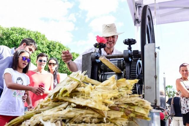 II Feria del Aguacate en Arguineguín