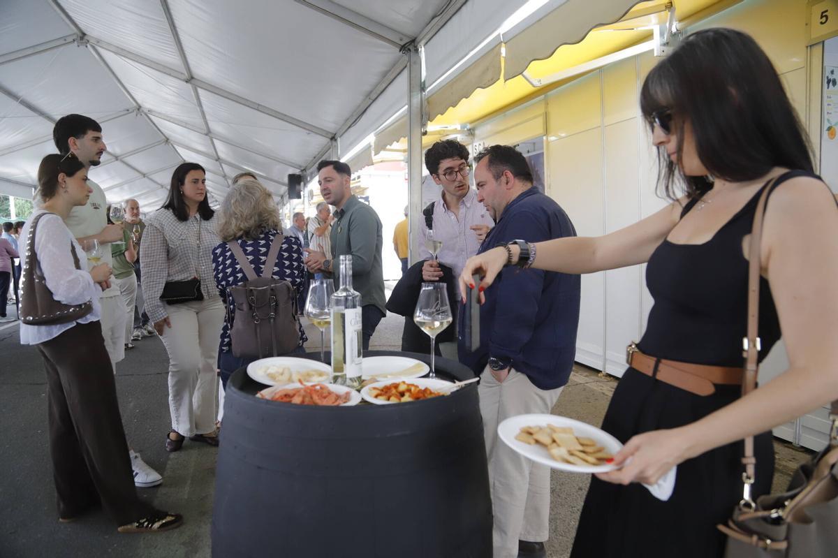 Presentaciones, catas y proyectos como Patios de Bodega marcan el viernes