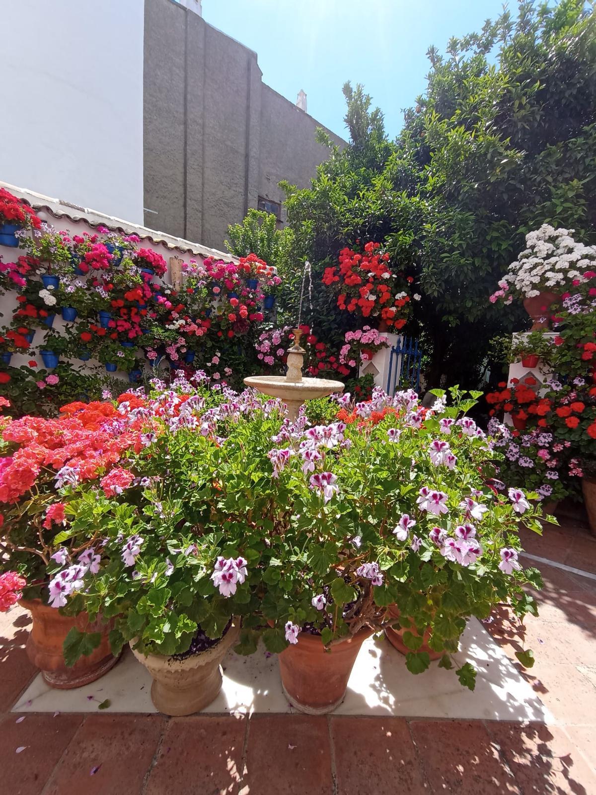 La Diputación da a conocer los ganadores del Concurso de Patios, Rejas y Rincones de la provincia