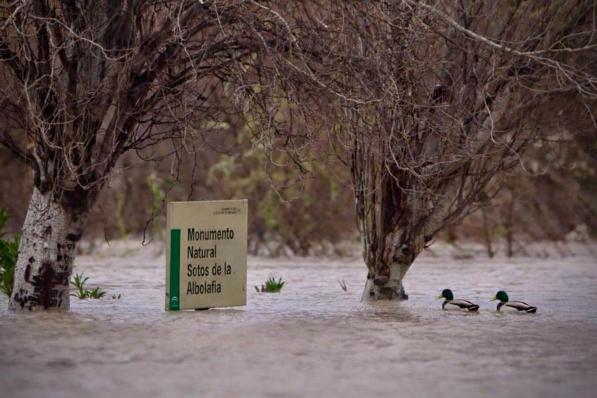 Las crecidas ponen en alerta a Córdoba