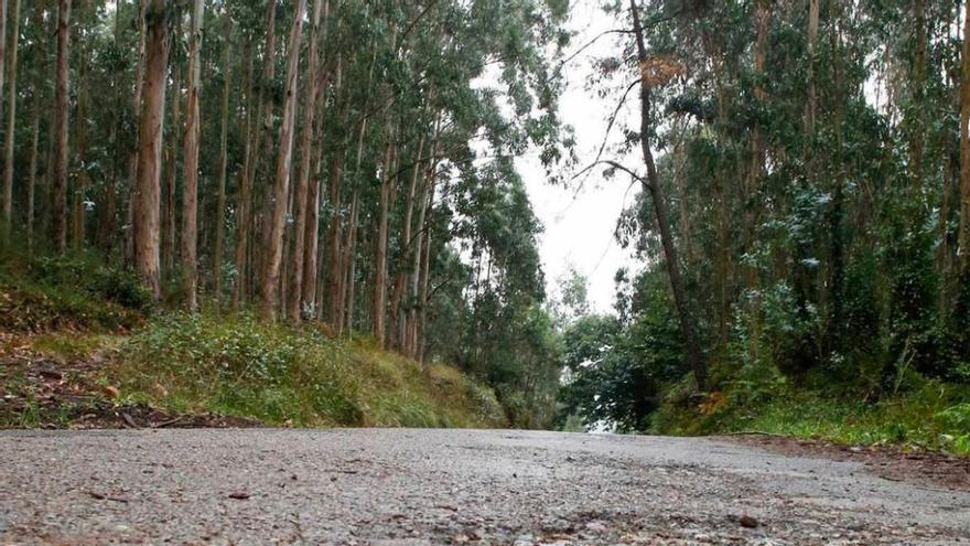 Mejoras para la vía de Antromero a La Ren