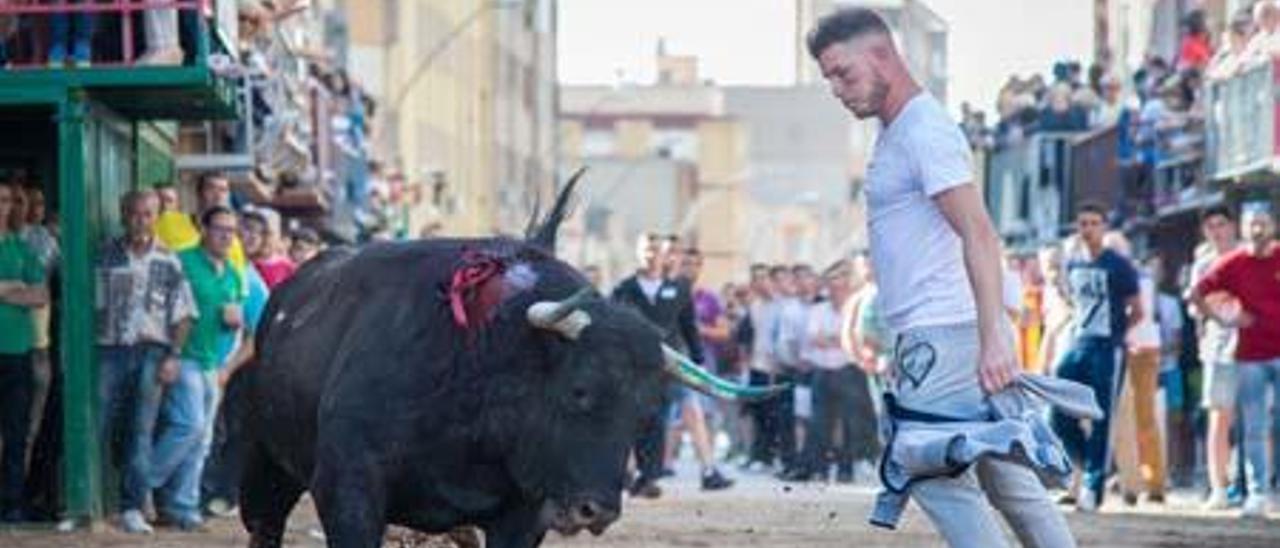 Bétera acoge la defensa del &quot;bou embolat&quot;