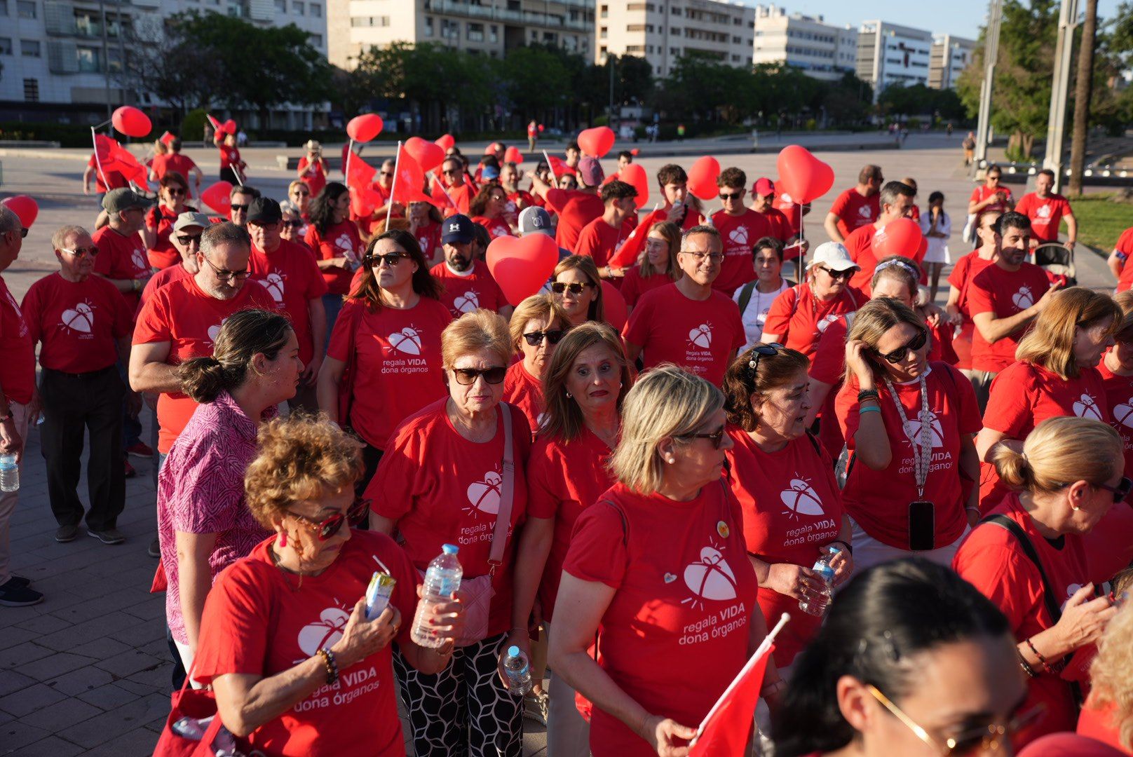La marcha por la donación de órganos, en imágenes