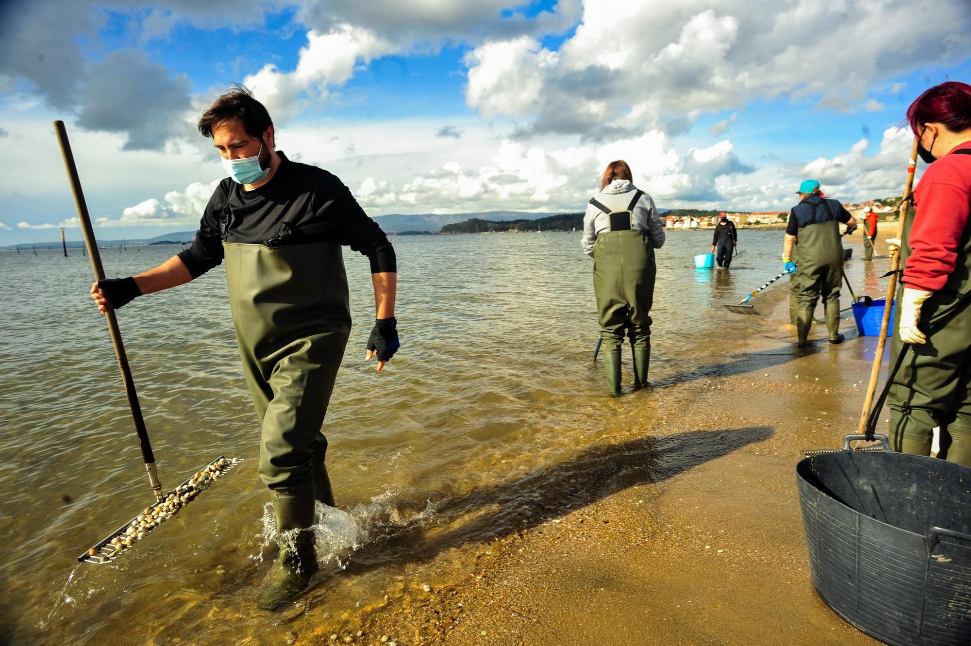 Las mariscadoras de Carril, al rescate de bivalvos en la playa de Compostela