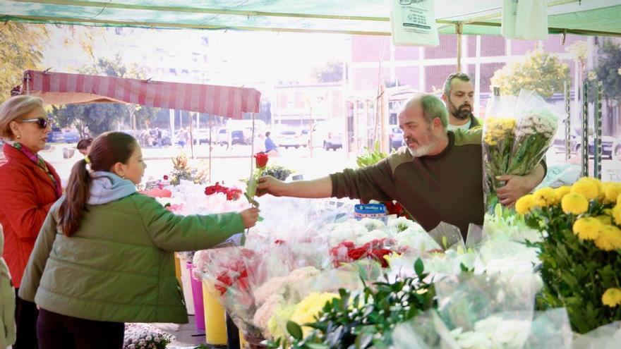 Los vendedores de flores afrontan Todos los Santos con mejores perspectivas de venta en Córdoba