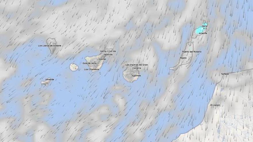La Aemet prevé que el viento moderado siga azotando a Tenerife este lunes