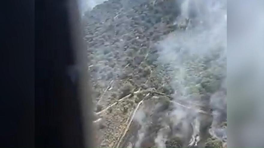Vídeo | Se declara el nivel 0 en el incendio forestal de Navalvillar de Pela