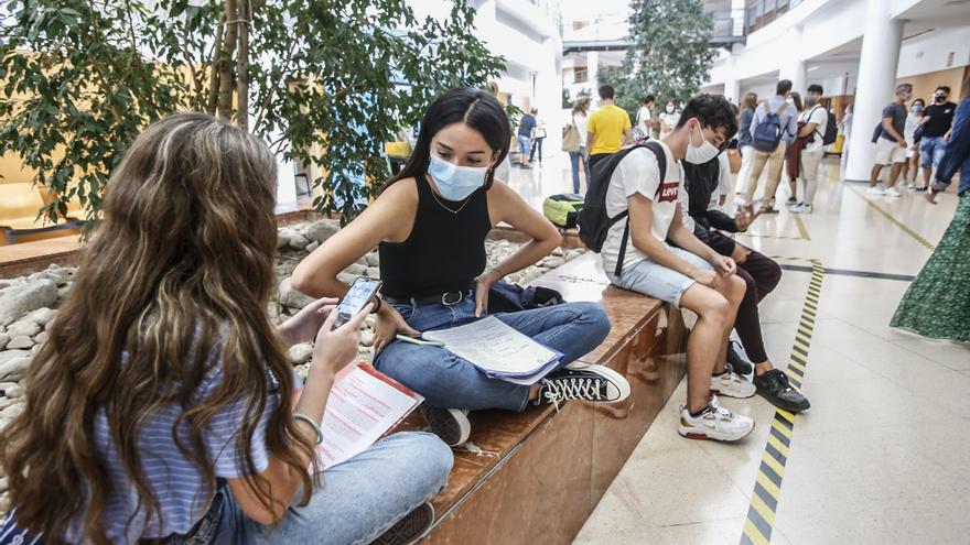 Las carreras universitarias con las notas de corte más altas y bajas de la Universidad de Alicante