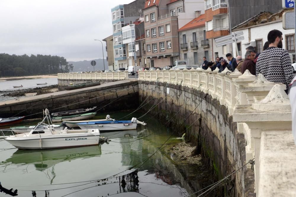 Gran mancha verde en el mar de Carril