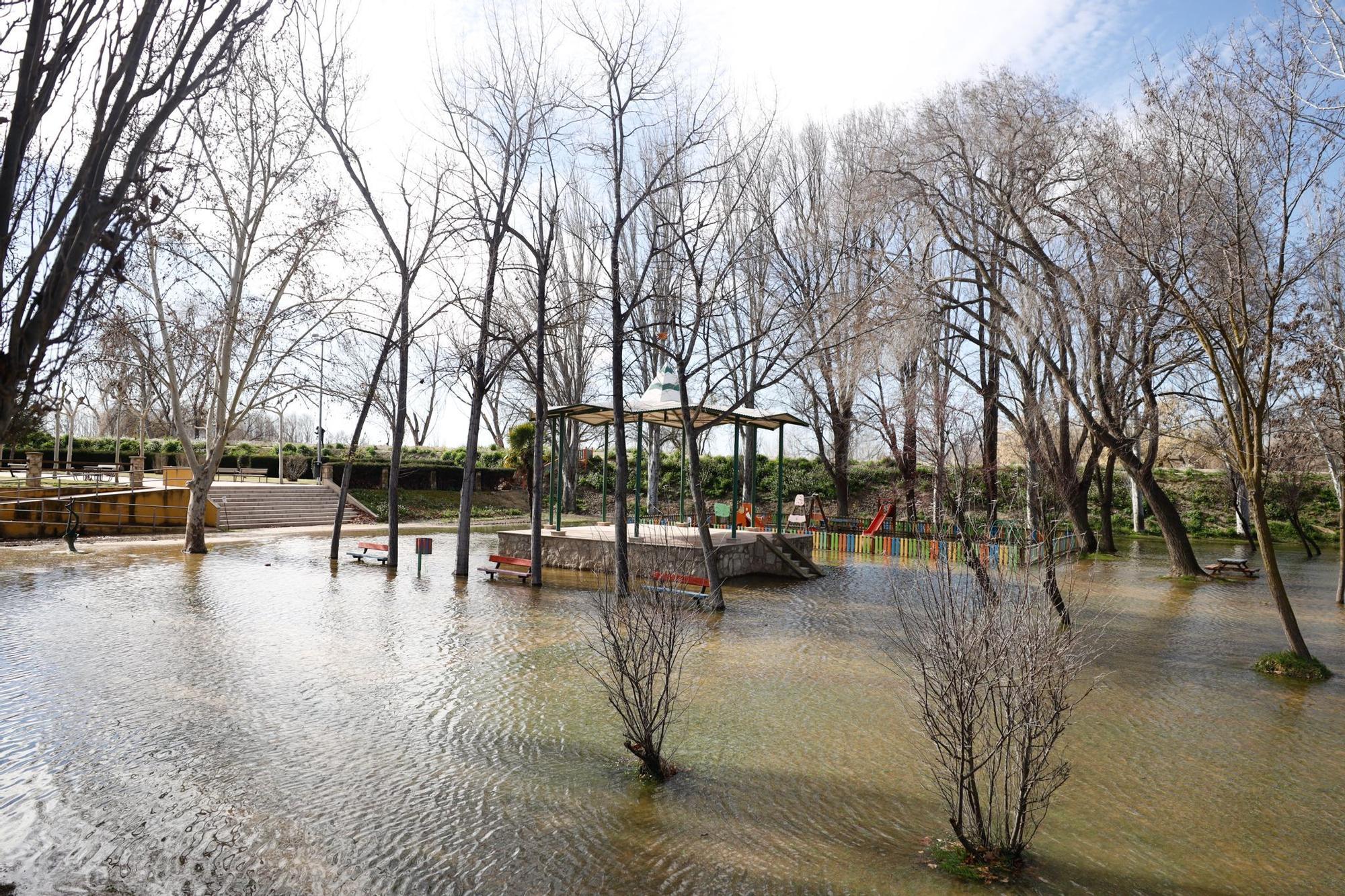En imágenes | Así transcurre la crecida del Ebro a su paso por Aragón
