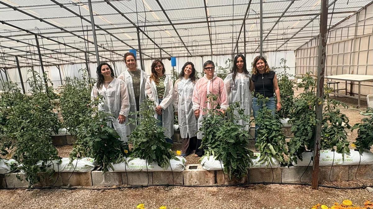 El proyecto está liderado por la Dra. Rosa M. Rivero, investigadora científica del CSIC en el CEBAS-CSIC.