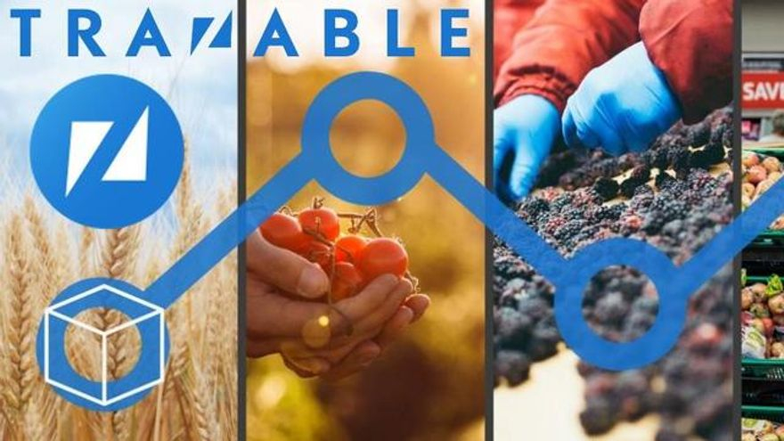 Trazable, la startup valenciana que ha arrasado con la preventa de su token