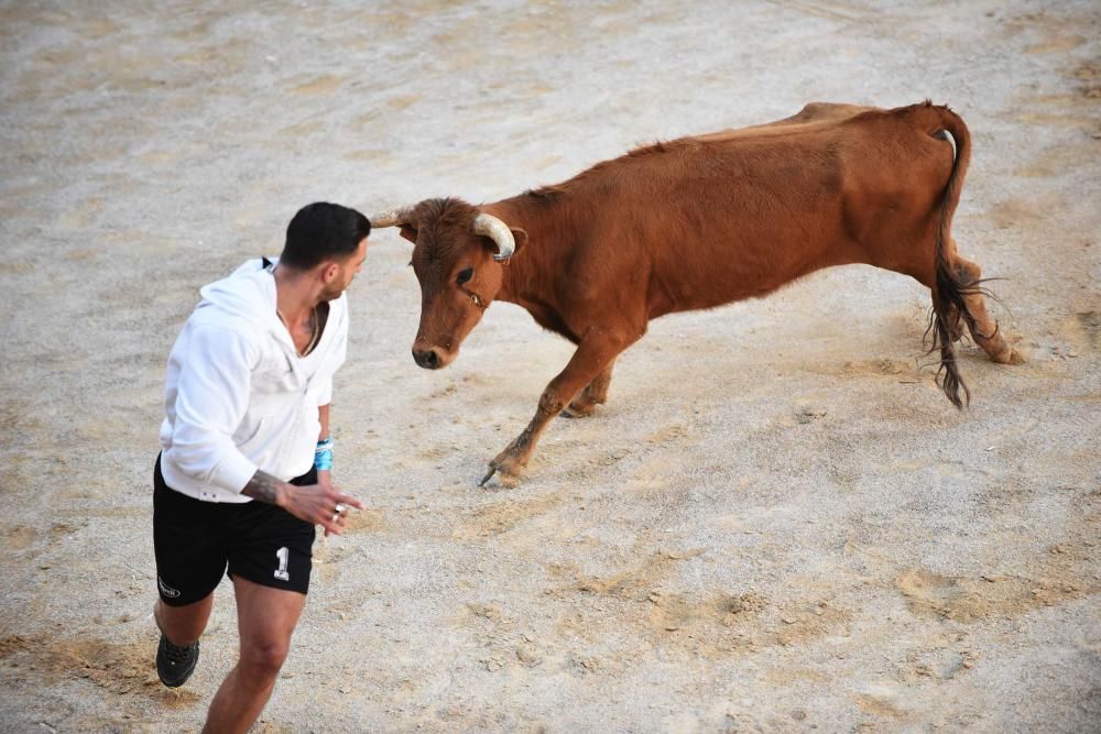 Imatges de la jornada de diumenge del corre de bou de Cardona 2017