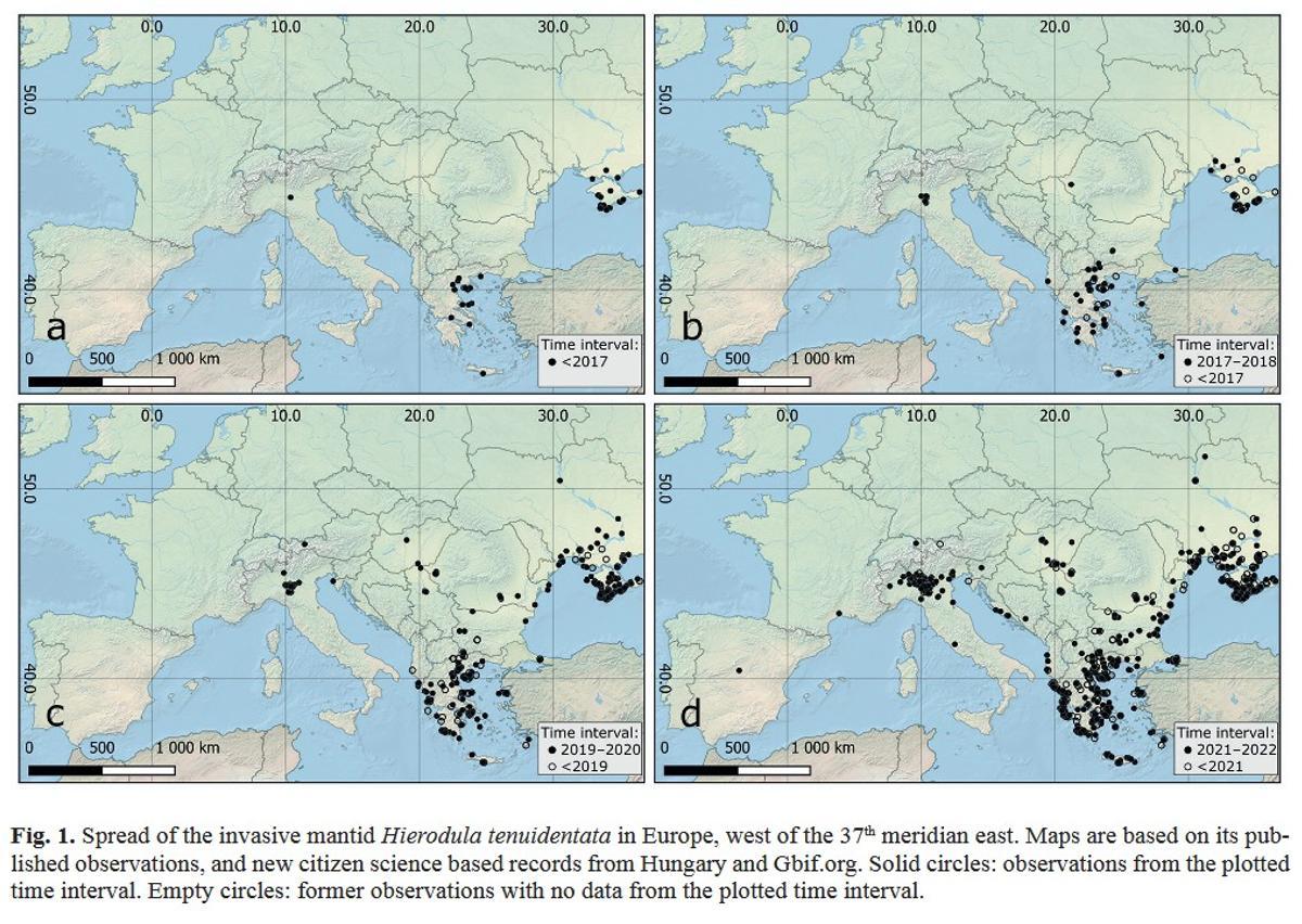 En el mapa d) aparece una localización de la mantis gigante en el centro peninsular