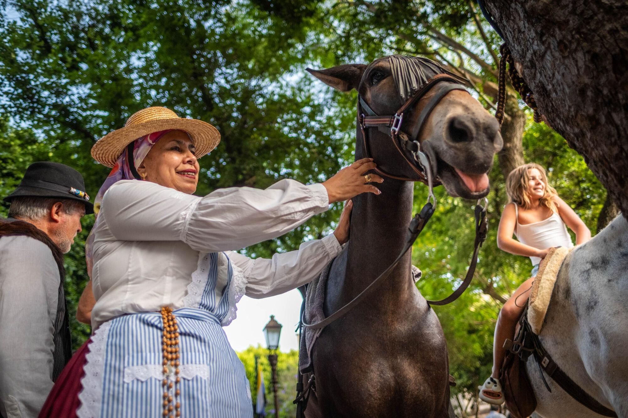 Día de los burros en La Laguna