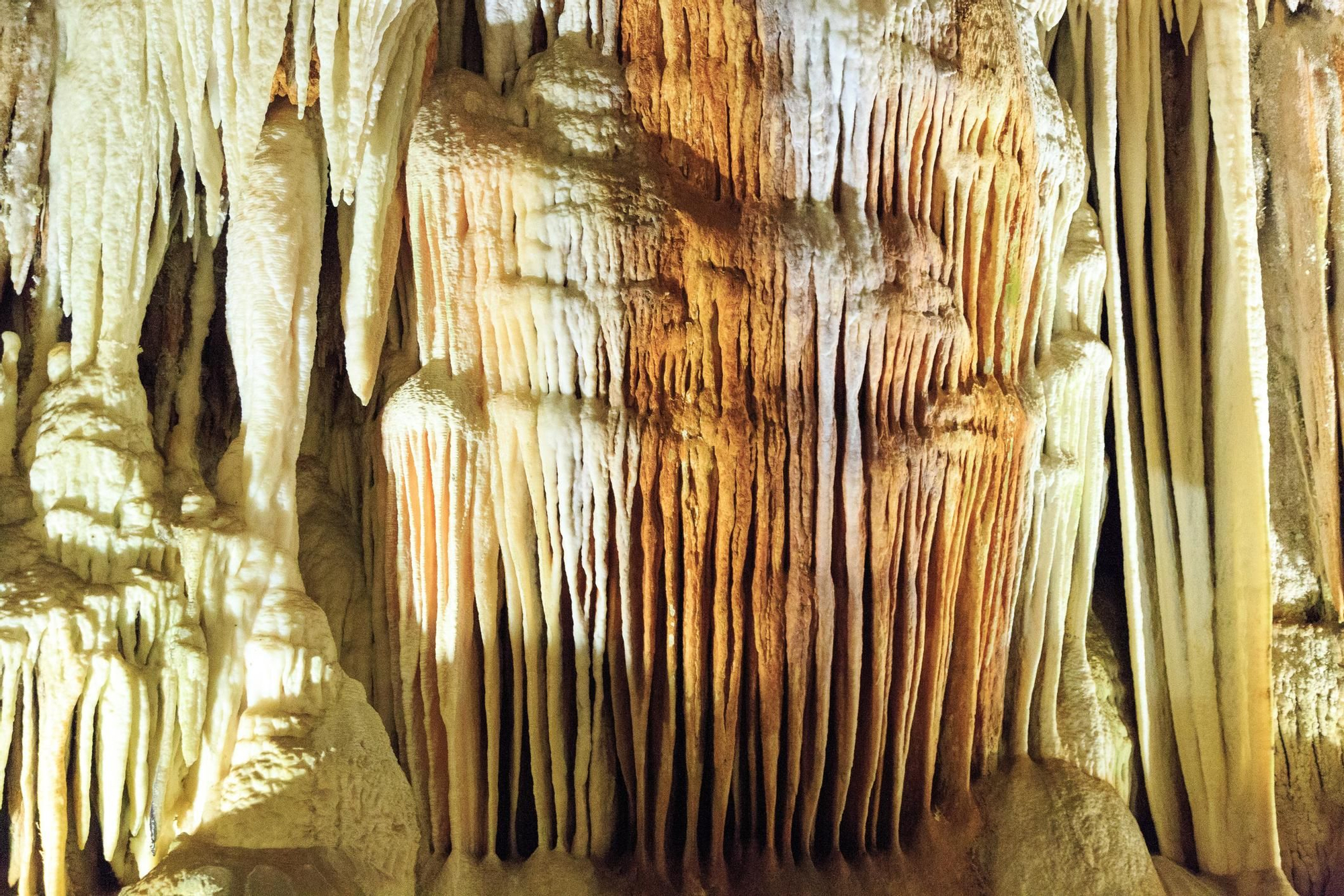 Cuevas del Águila.
