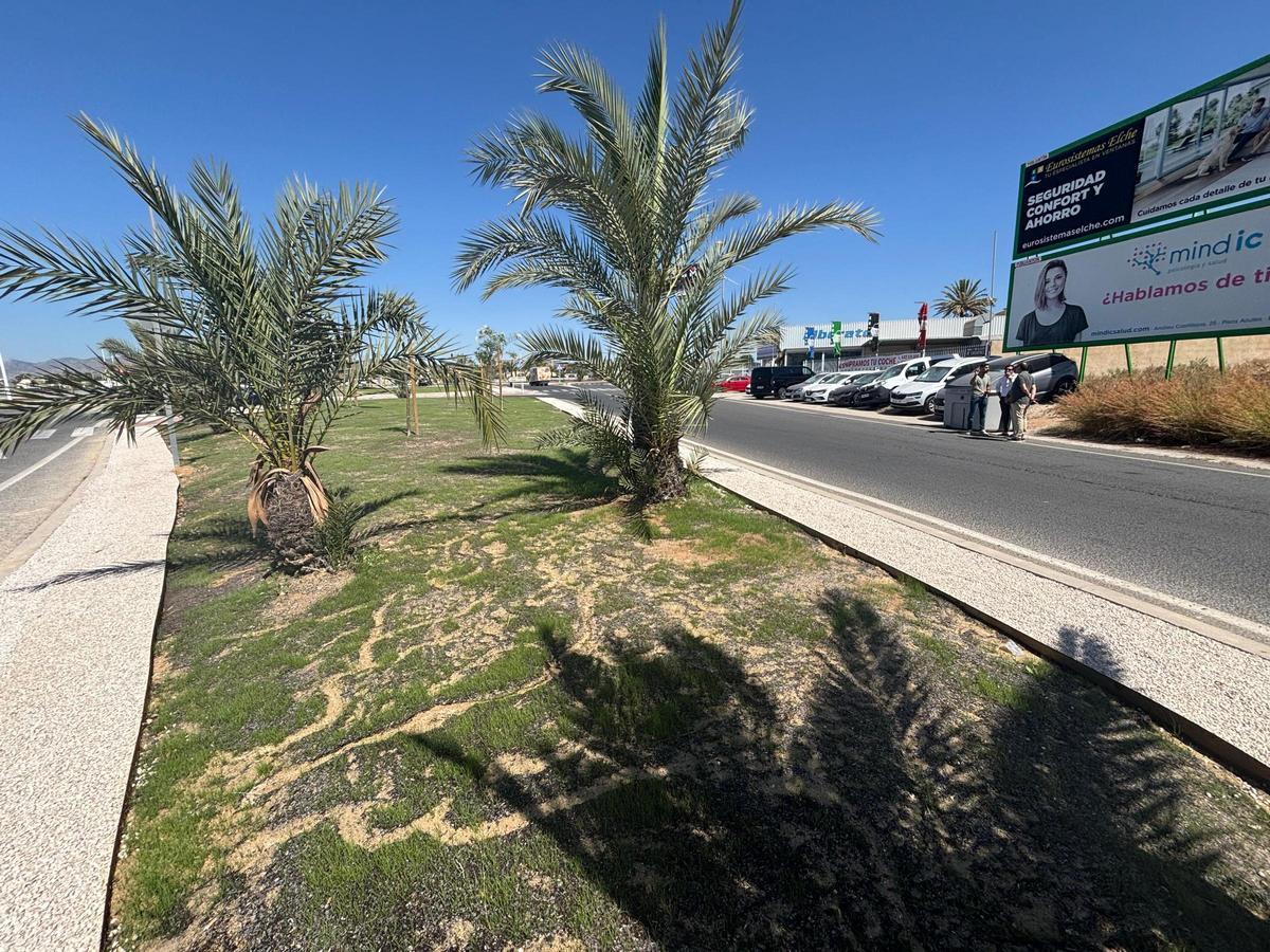 El césped está recién plantado en los nuevos jardines en la entrada a Elche por la ronda oeste