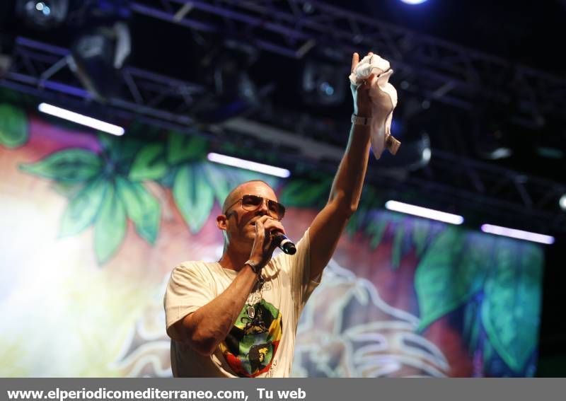 GALERÍA DE FOTOS - Collie Budzz y Mo’Kalamity en el Rototom