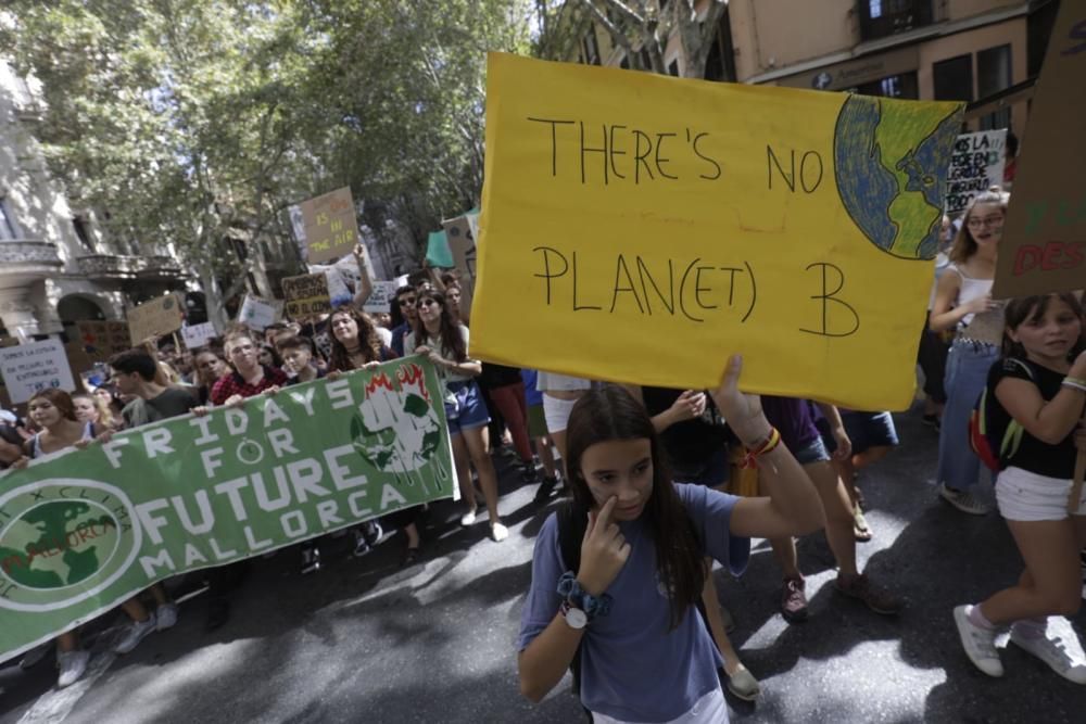 Die große Klimaschutz-Demo auf Mallorca