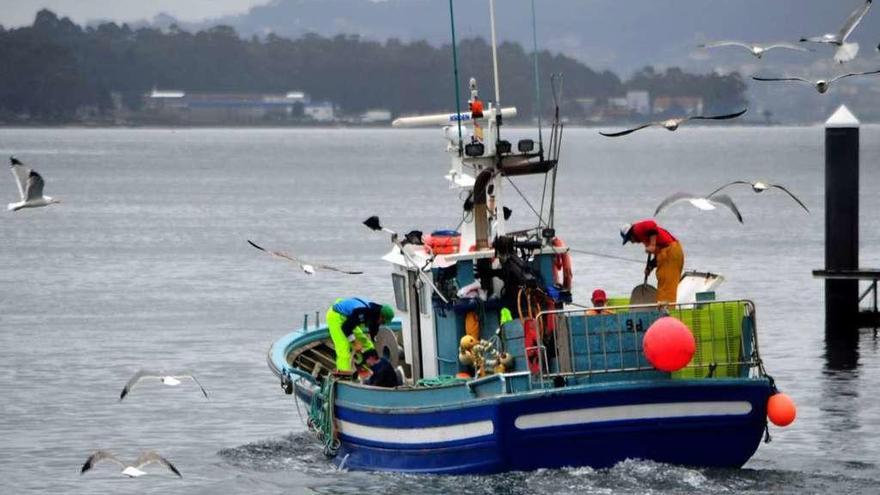 Un cerquero sale a pescar en aguas de Galicia.