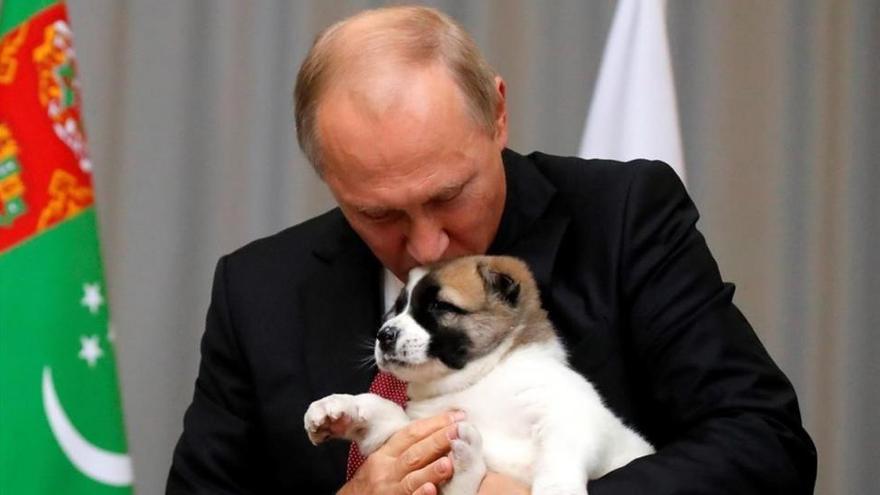 El perrito que enterneció a Putin